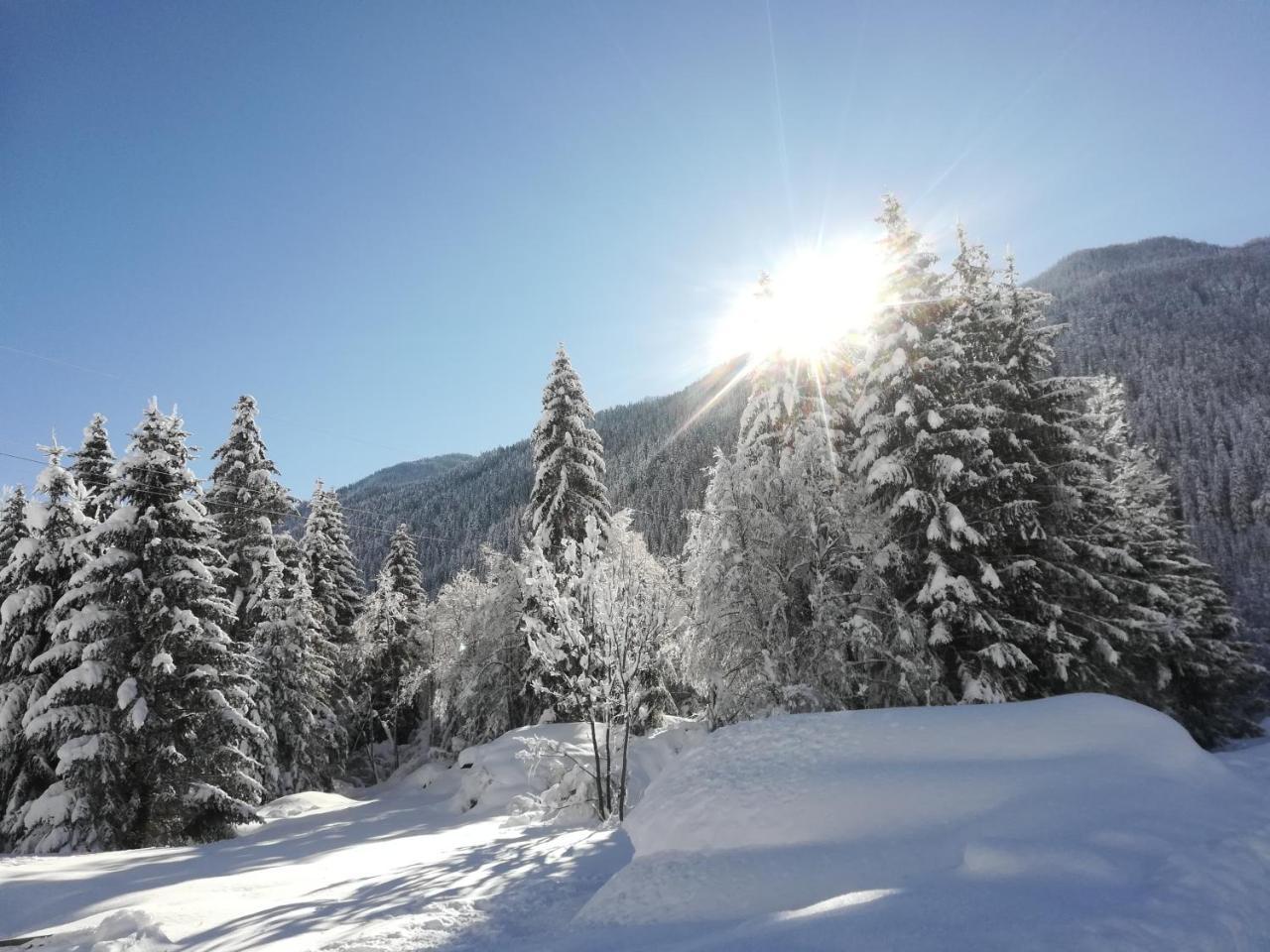 Weitlaner Birgit Apartment ซิลเลียน ภายนอก รูปภาพ