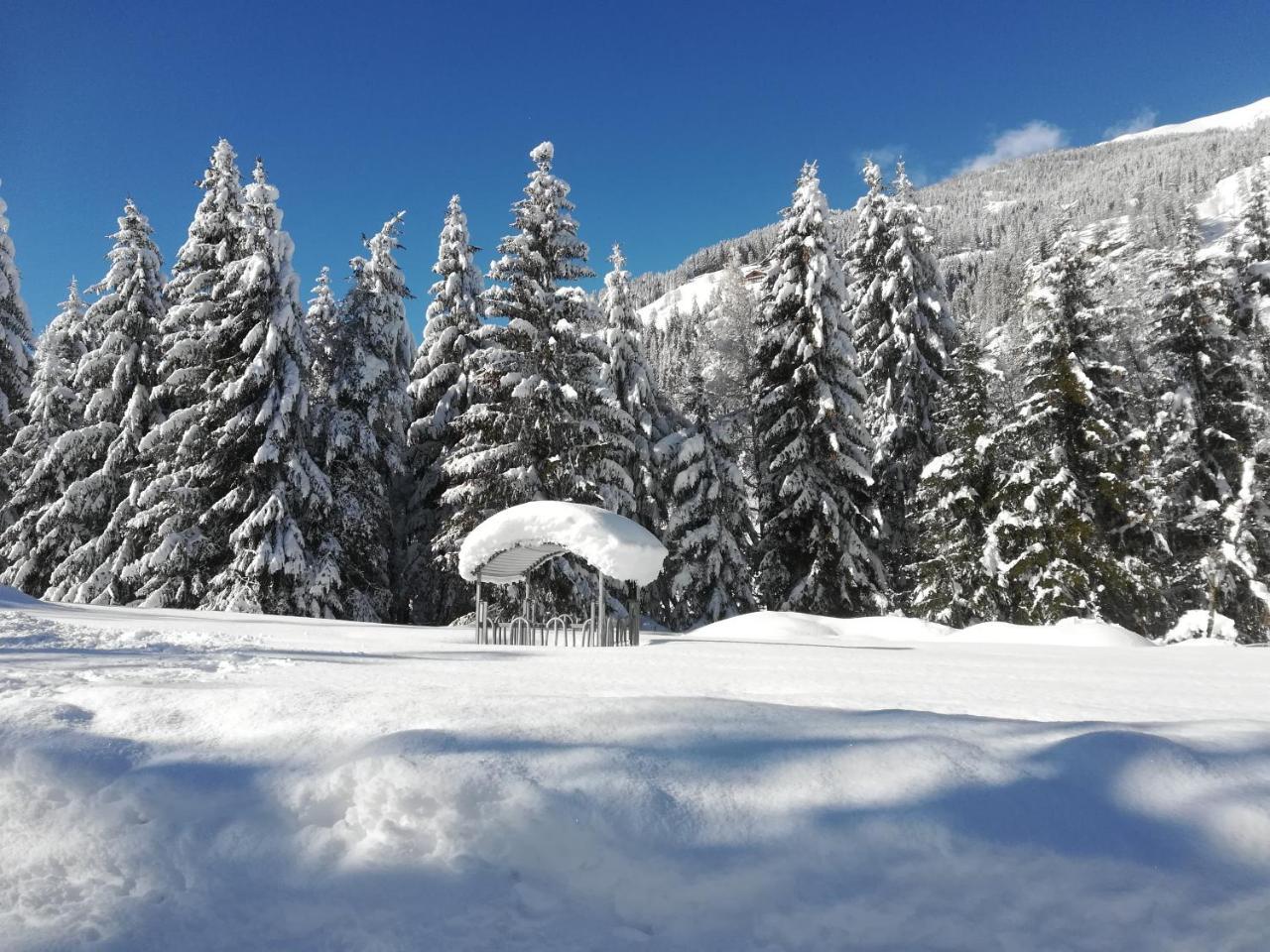 Weitlaner Birgit Apartment ซิลเลียน ภายนอก รูปภาพ