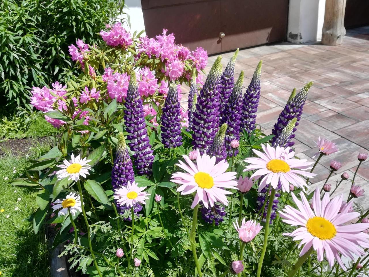 Weitlaner Birgit Apartment ซิลเลียน ภายนอก รูปภาพ